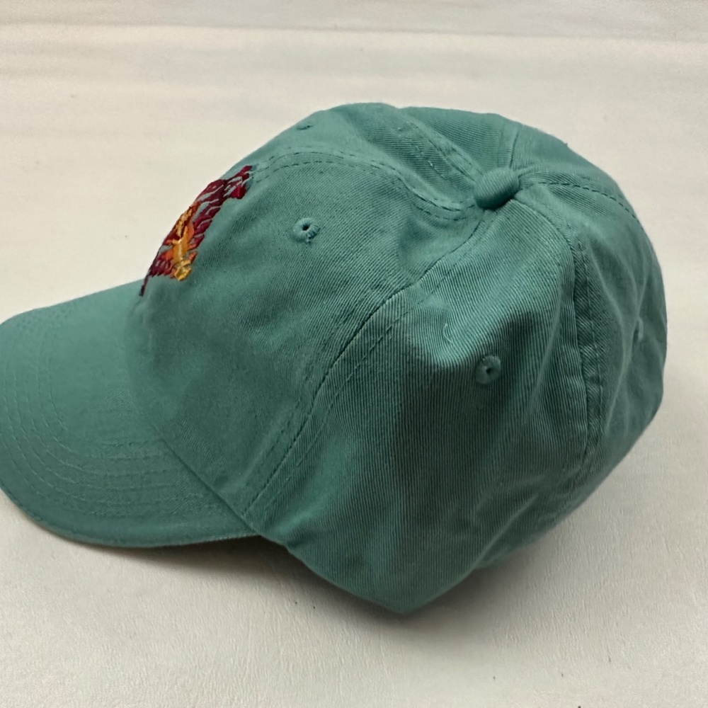 NEW Pendleton Aqua Logo Graphic Adjustable Baseball Hat Cap One Size - Picture 2 of 5